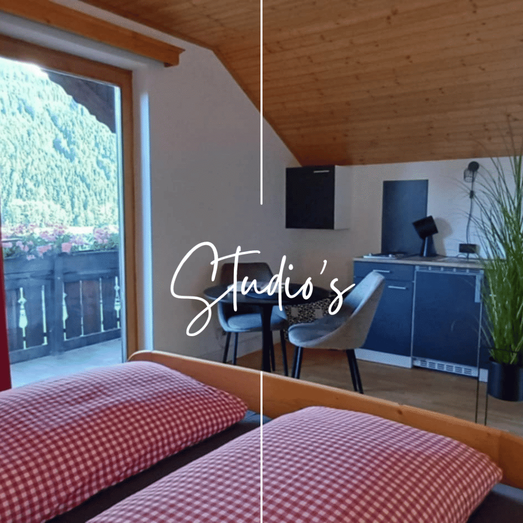 Haus Nandita Baierdorf Murau Steiermartk Appartment Winter Urlaub