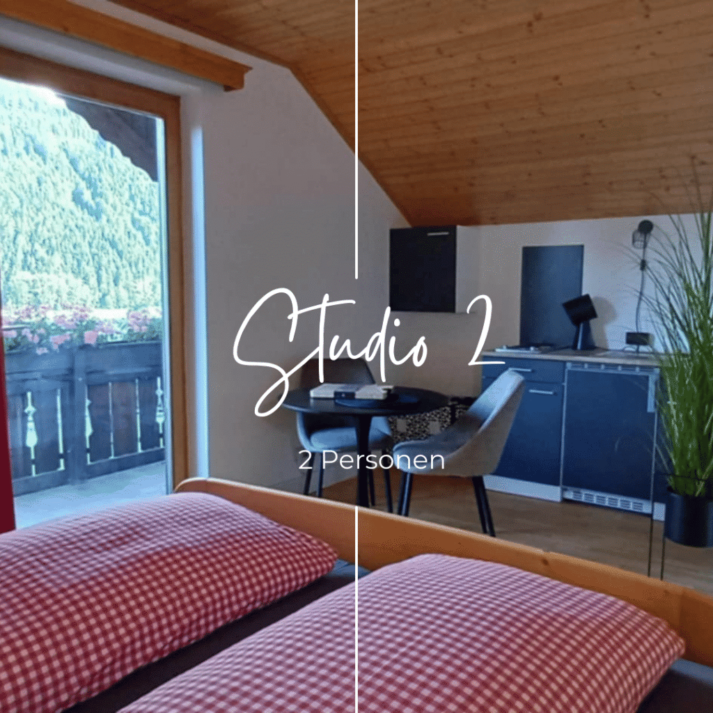 Haus Nandita Baierdorf Murau Steiermartk Appartment Winter Urlaub