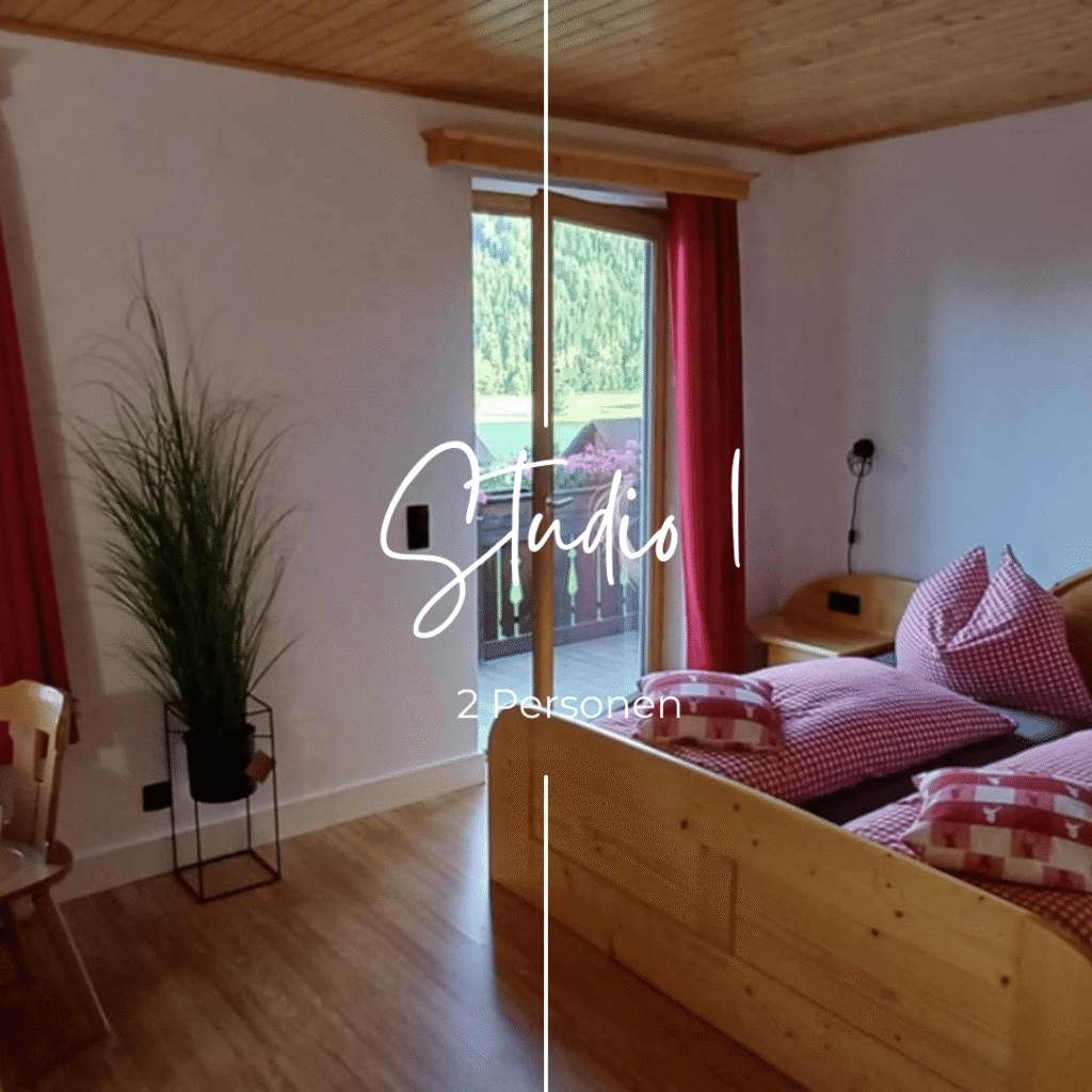 Haus Nandita Baierdorf Murau Steiermartk Appartment Winter Urlaub